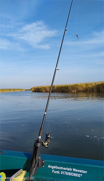 Angeln auf dem Darß vom Boot aus