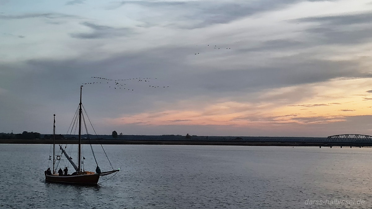 Kranichbeobachtung auf dem Bodden