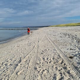 November auf dem Darß – Zeit der Ruhe